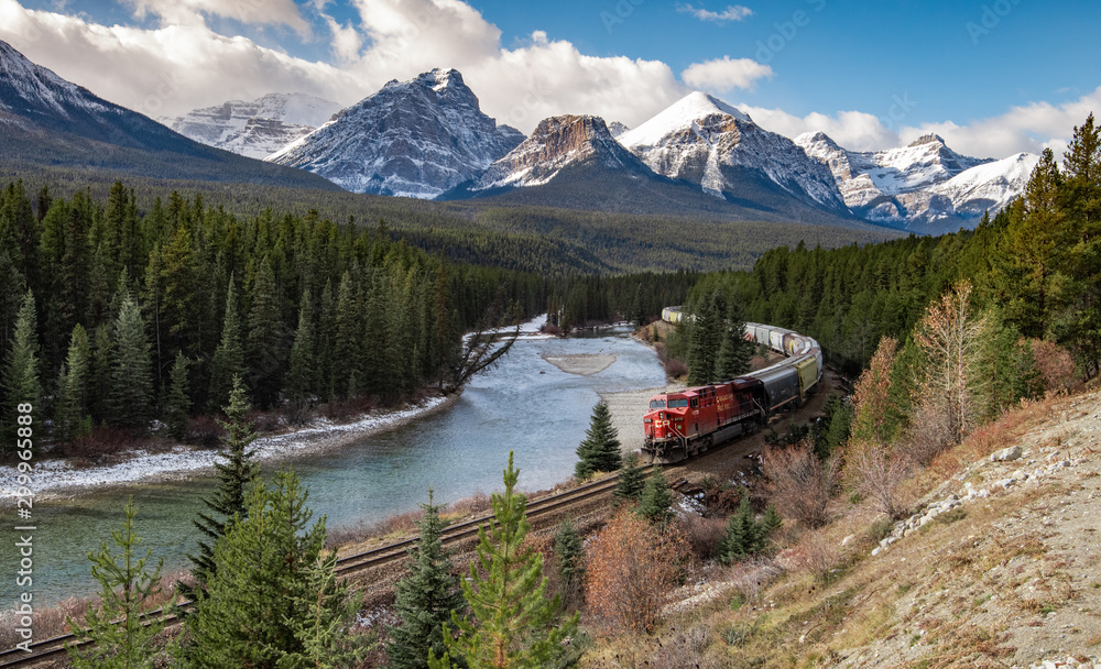 Train in the Valley at Morant's Curve in Banff Canada - obrazy, fototapety, plakaty 