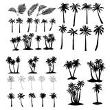 Fototapeta Konie - palm tropical tree set icons black silhouette vector illustration isolated on white background