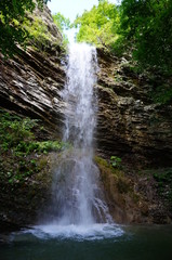 Poster - waterfall in the forest