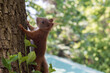 Mała wiewiórka wspina się na drzewo