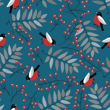 Vector Bullfinch Birds,  Berries Of Mountain Ash Tree And Leaves