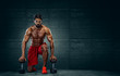 © mrbigphoto - Handsome Msucular Men Kneeling on the Floor With Pair Of Dumbbells