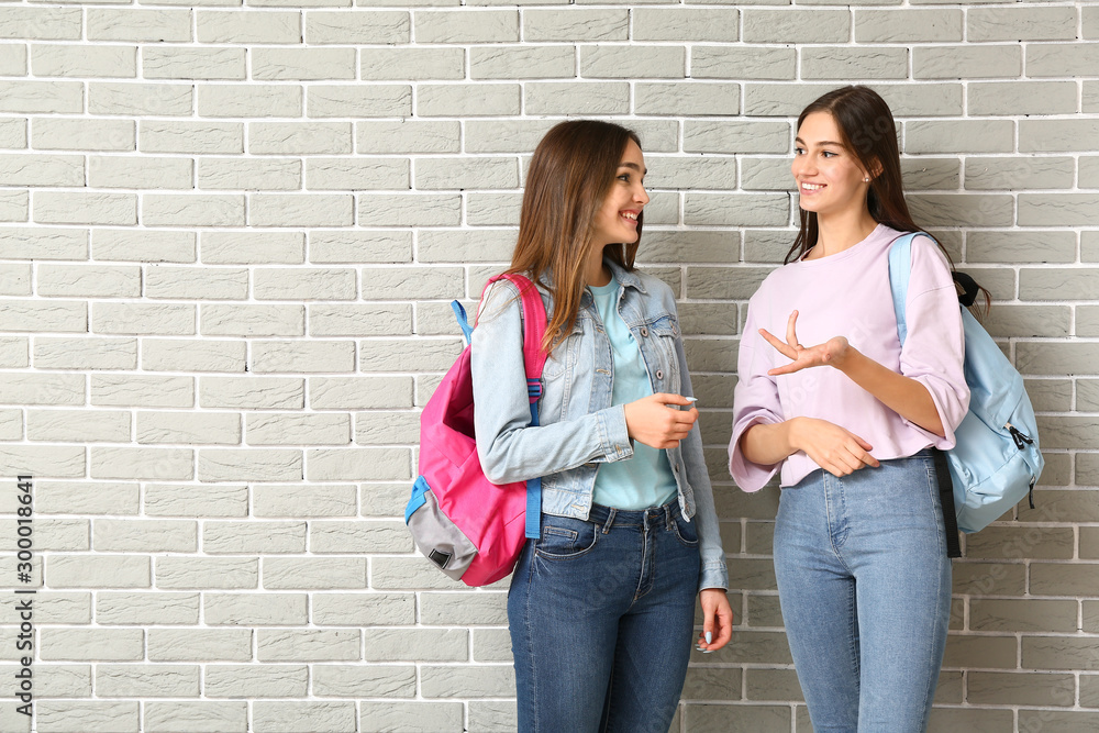 Beautiful female students on brick background