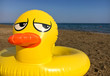 Yellow inflatable duck with frown annoyed, disgrunted  expression on its face laying on the beach.