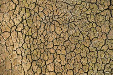 Wall Mural - The Ponsul River is a affluent of the Tejo River, in Portugal, and is a very large river. At this time it is completely dry, without water and with its bed cracked due to climate change