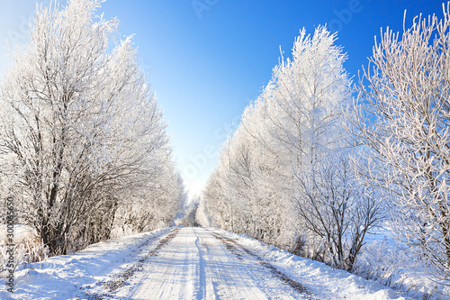snowy winter landscape with forest and road