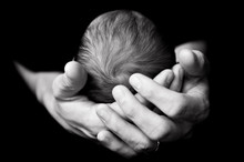 Newborn Baby Head In Fathers Hands