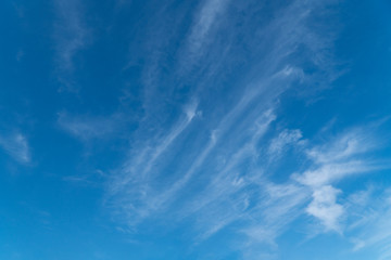 Wall Mural - Bright, blue sky with a few small clouds