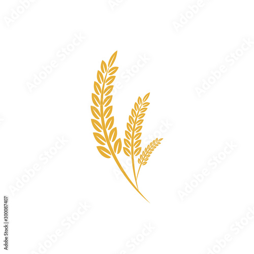 Fotografía Agriculture wheat vector Illustration design template