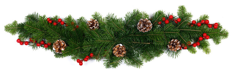 Poster - Fir tree branch decor on white