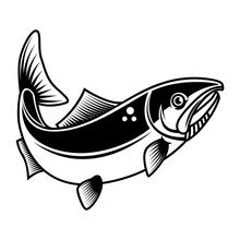 Illustration Of The Salmon Fish Isolated On White Background. Design Element For Logo, Label, Badge, Sign. Vector Illustration