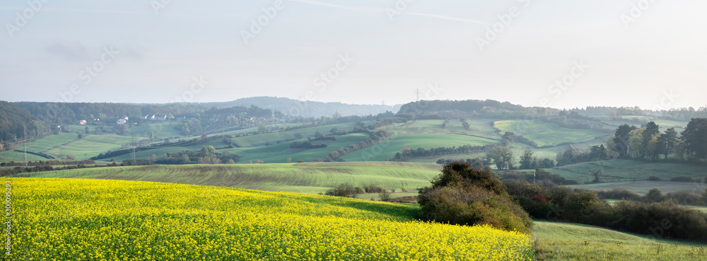 Obraz na płótnie mustard seed and fields in autumn countryside near luxembourg town w salonie