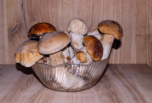 Edible Porcini Mushrooms In A Glass Bowl