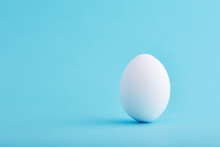 One White Egg Standing Vertical On Blue Background