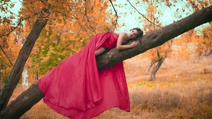 Wall Mural - woman in a long fashion red dress lies on a tree branch. Brunette princess with long hair. The train flutters in the wind. Background autumn landscape, yellow leaves of trees. sleeping Beauty