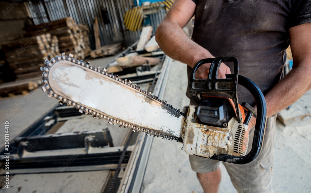 Woodcutter cutting tree with chainsaw on sawmill. Modern sawmill ...