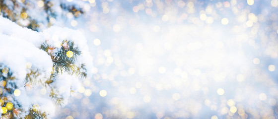winter fir tree christmas scene with sunlight.