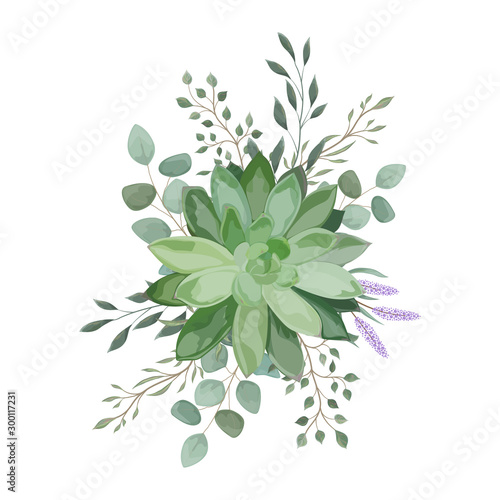 Bouquet with succulent flowers, watercolor, isolated on white. Vector Waterco...