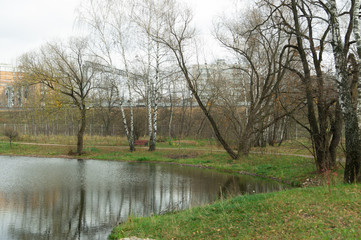 lonely pond in autumn Park in the afternoon