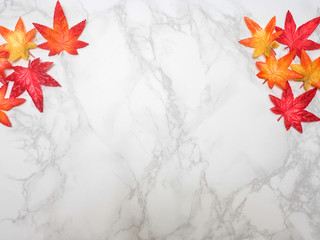 Wall Mural - leaves maple copyspace on marble background .Top view