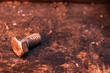 © Éverton Lisbôa - a steel screw on a wooden table