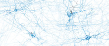 Signal Transmitting Neuron Or Nerve Cell- 3d Illustration