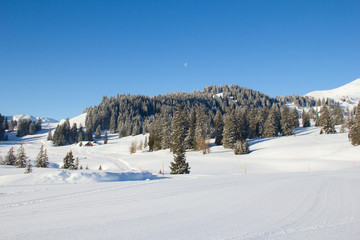 Skiing in alps