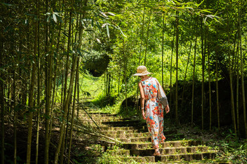 Canvas Print - woman hiking in the forest at Xitou