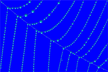  spider web covered with dew on a blue background