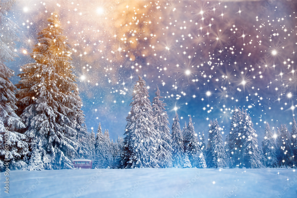Majestic winter landscape with snowy fir trees.  Winter postcard. - obrazy, fototapety, plakaty 