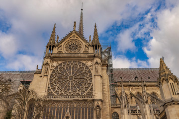 Wall Mural - notre dame de paris