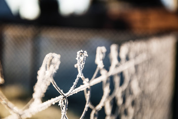 Metallic chain fence link net with blue defocused background. Frosty winter day with bright sunlight.