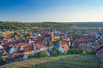 Wall Mural - Esslingen am Neckar panoramic view of old town