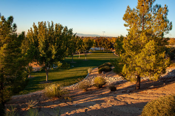 Wall Mural - Madeira Canyon Park, Henderson, NV.