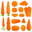 Carrot icons set. Cartoon set of carrot vector icons for web design