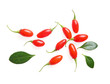Fresh ripe goji berries and leaves on white background, top view