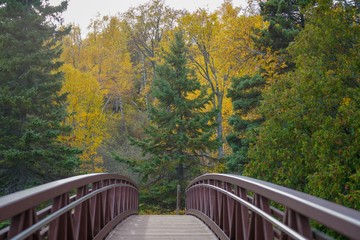 Wall Mural - Scenic viewpoint from the bridge at Gooseberry Falls State Park in Minnesota