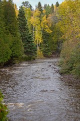 Wall Mural - Gooseberry River in Northern Minnesota