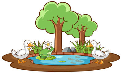 Poster - Isolated picture of duck and frog in the pond