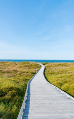 Poster - Wooden walkway through dunes to sea