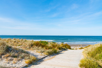 Poster - Wooden walkway through dunes to sea