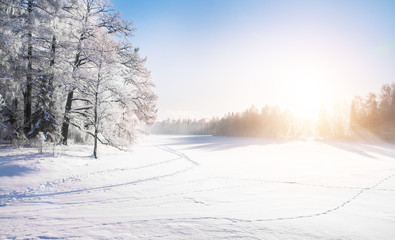 Aufkleber - Beautiful Winter park and sun