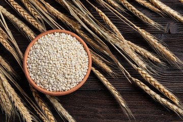 Wall Mural - Raw peeled barley grains  (Hordeum vulgare)