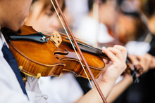 Close Up Violin Player Hands, Student Violinist Playing Violin In Orchestra Concert