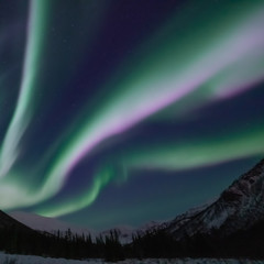green and pink northern ligths on dark sky. strong aurora borealis above dark landscape. mountains, 