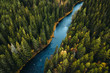© Elias A. Gustafsson - Aerial view of river passing through pine forest