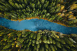 © Elias A. Gustafsson - Aerial view of river passing through pine forest