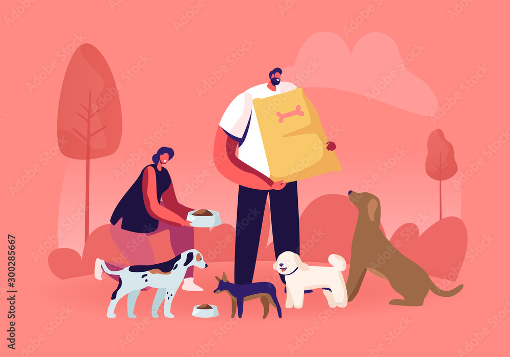 Man and woman feeding dogs