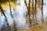 Fototapeta Kwiaty - Reflection on the water surface.