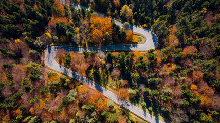Poster - Curvy Winding Road Trough Woodland at Fall Foliage Season. top Down Drone View